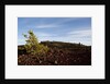 Volcanic Lava Fields, Craters of the Moon National Monument, Idaho by Anonymous