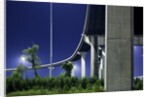 Highway Overpass, New Orleans, Louisiana by Anonymous