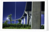 Highway Overpass, New Orleans, Louisiana by Anonymous