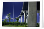 Highway Overpass, New Orleans, Louisiana by Anonymous