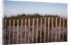 Fence in Sand Dunes, Cape Cod, Massachusetts by Anonymous