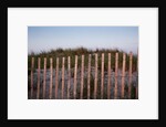 Fence in Sand Dunes, Cape Cod, Massachusetts by Anonymous