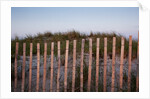 Fence in Sand Dunes, Cape Cod, Massachusetts by Anonymous