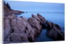 Atlantic Coastline, Acadia National Park, Maine by Anonymous