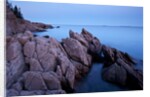 Atlantic Coastline, Acadia National Park, Maine by Anonymous