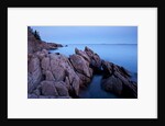 Atlantic Coastline, Acadia National Park, Maine by Anonymous