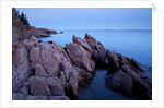 Atlantic Coastline, Acadia National Park, Maine by Anonymous