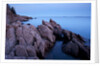Atlantic Coastline, Acadia National Park, Maine by Anonymous