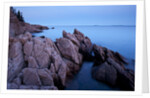 Atlantic Coastline, Acadia National Park, Maine by Anonymous