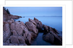 Atlantic Coastline, Acadia National Park, Maine by Anonymous