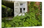 Abandoned Farmhouse, Armour, North Carolina by Anonymous