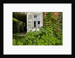 Abandoned Farmhouse, Armour, North Carolina by Anonymous