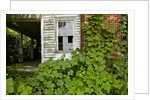 Abandoned Farmhouse, Armour, North Carolina by Anonymous