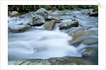 River in White Mountains, New Hampshire by Anonymous