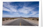 Desert Highway, Beatty, Nevada by Anonymous