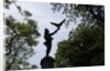 Central Park, New York City by Anonymous