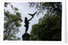 Central Park, New York City by Anonymous