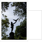 Central Park, New York City by Anonymous