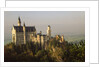 Neuschwanstein Castle by Anonymous