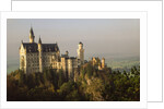 Neuschwanstein Castle by Anonymous
