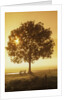 Sunrise and a tree by Anonymous