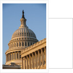 US Capitol Dome by Anonymous