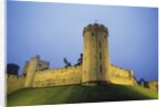 Warwick Castle by Anonymous