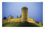 Warwick Castle by Anonymous