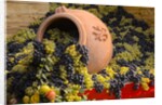 Vineyards near Monte Falco by Anonymous
