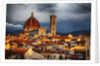 The Duomo of Florence with evening light by Anonymous