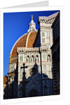 The Duomo of Florence with evening light by Anonymous