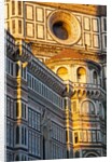 The Duomo of Florence with evening light by Anonymous