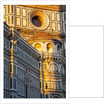 The Duomo of Florence with evening light by Anonymous