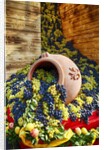 Harvested fresh grapes from the Tuscan fields by Anonymous