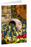 Harvested fresh grapes from the Tuscan fields by Anonymous