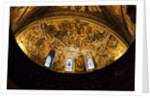 Domed Ceiling of the Basilica of San Francesco d'Assisi by Anonymous