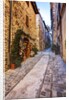 Street in Spello, Italy by Anonymous