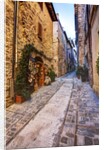 Street in Spello, Italy by Anonymous