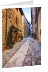 Street in Spello, Italy by Anonymous