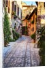 Street in Spello, Italy by Anonymous