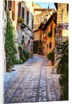 Street in Spello, Italy by Anonymous