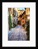 Street in Spello, Italy by Anonymous