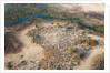 Okavango delta, Botswana by Anonymous