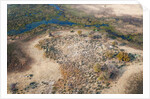 Okavango delta, Botswana by Anonymous