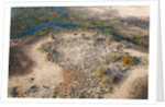 Okavango delta, Botswana by Anonymous