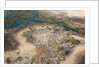 Okavango delta, Botswana by Anonymous