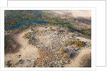 Okavango delta, Botswana by Anonymous