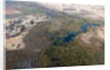 Okavango delta, Botswana by Anonymous