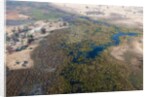 Okavango delta, Botswana by Anonymous