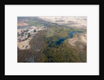 Okavango delta, Botswana by Anonymous